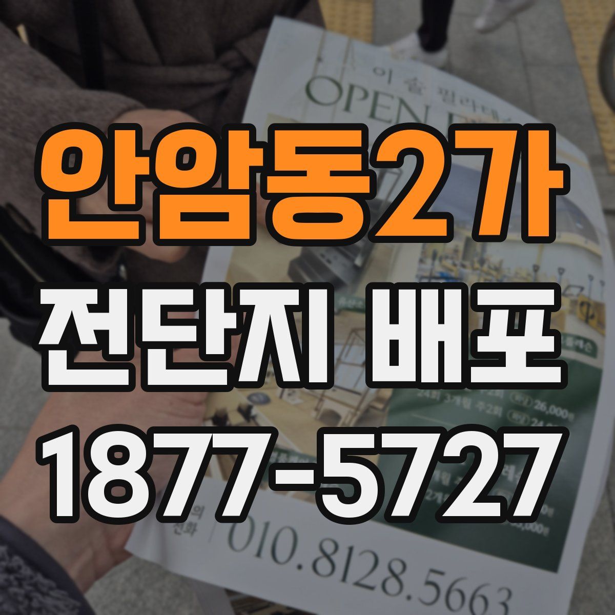 안암동2가 전단지 배포