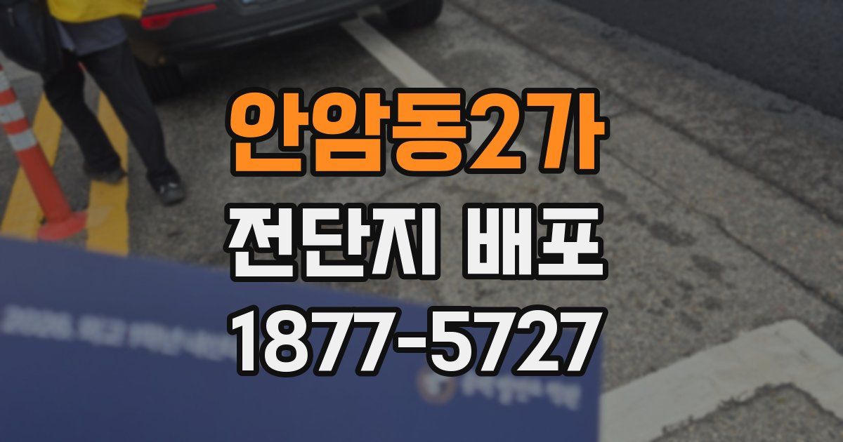 안암동2가 전단지 배포