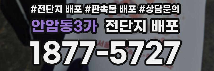안암동3가 전단지 배포