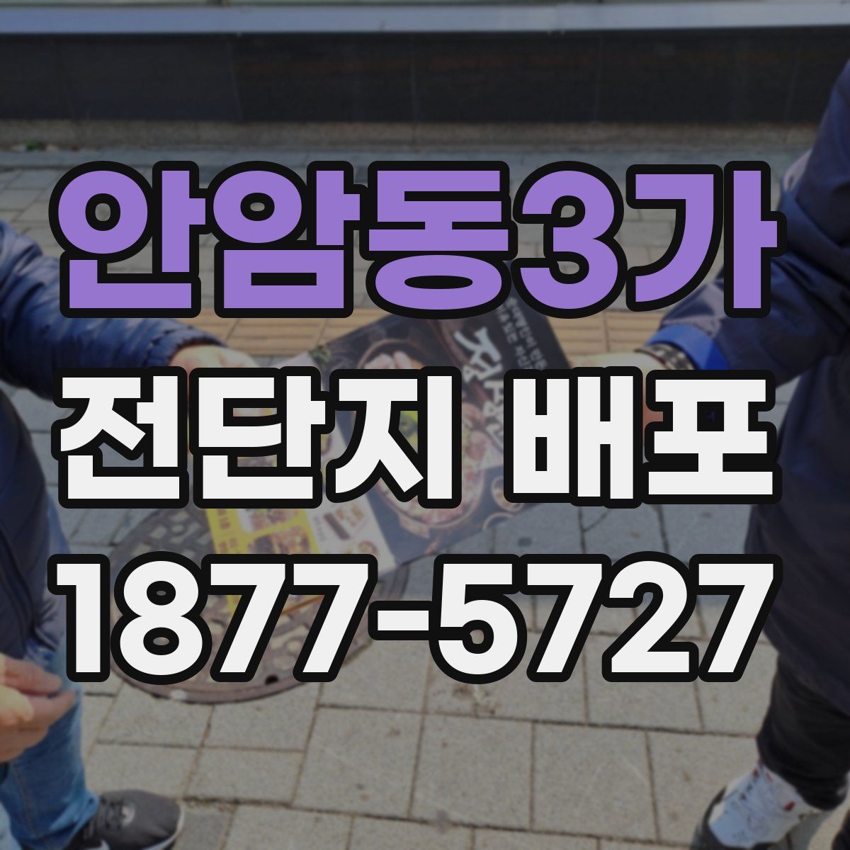 안암동3가 전단지 배포