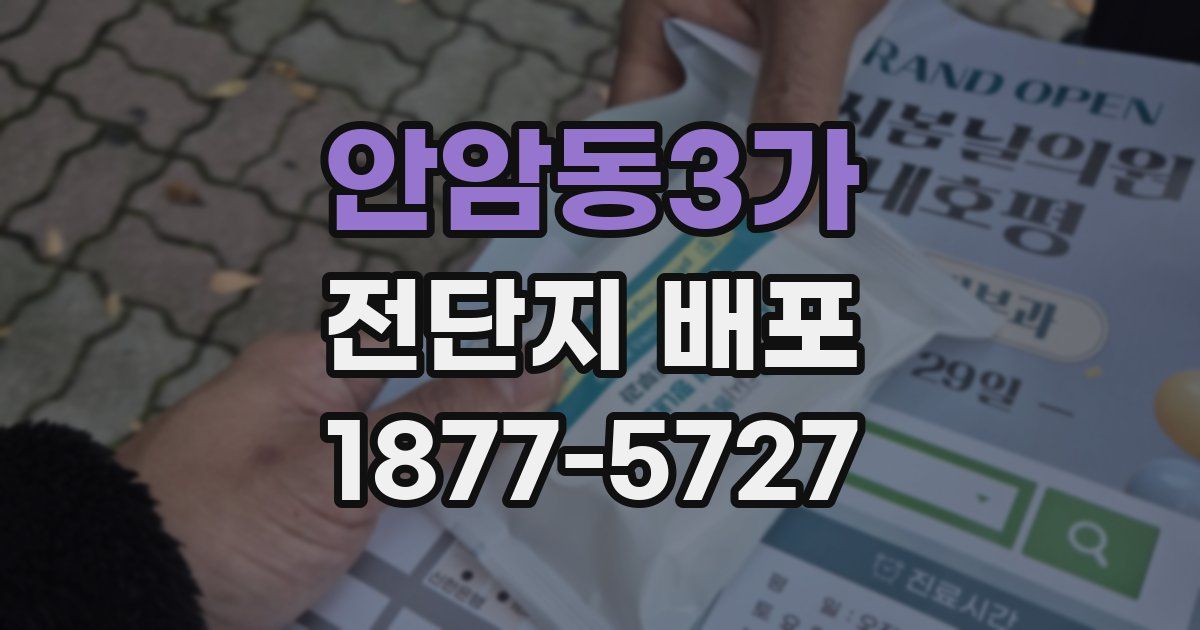 안암동3가 전단지 배포