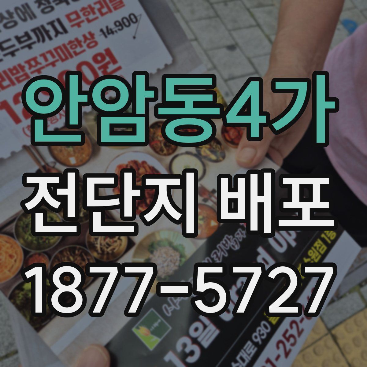 안암동4가 전단지 배포