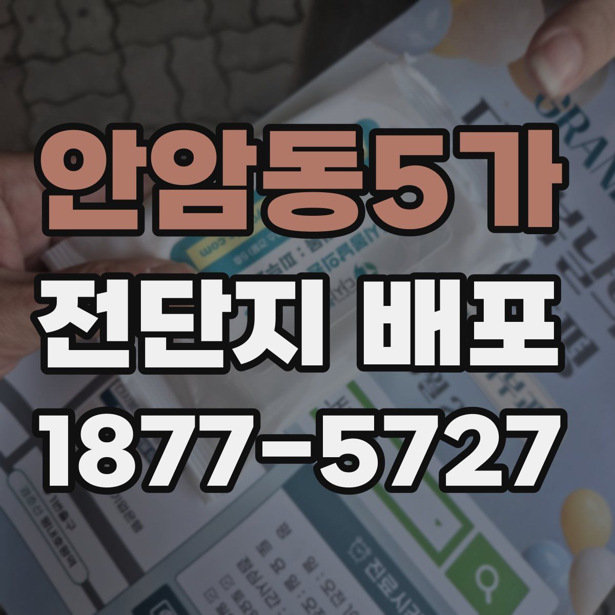 안암동5가 전단지 배포