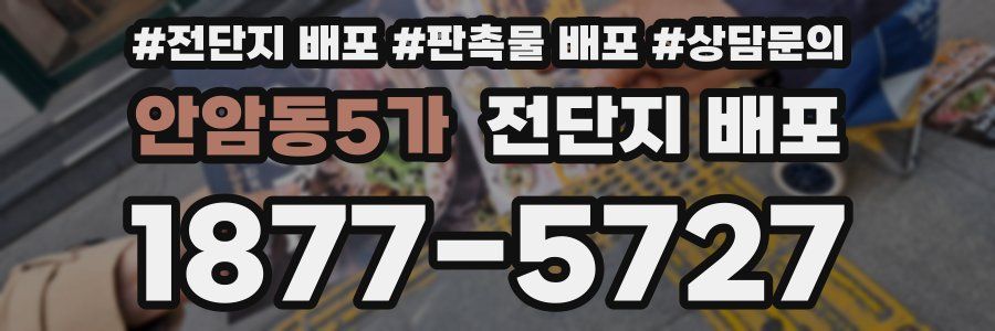 안암동5가 전단지 배포