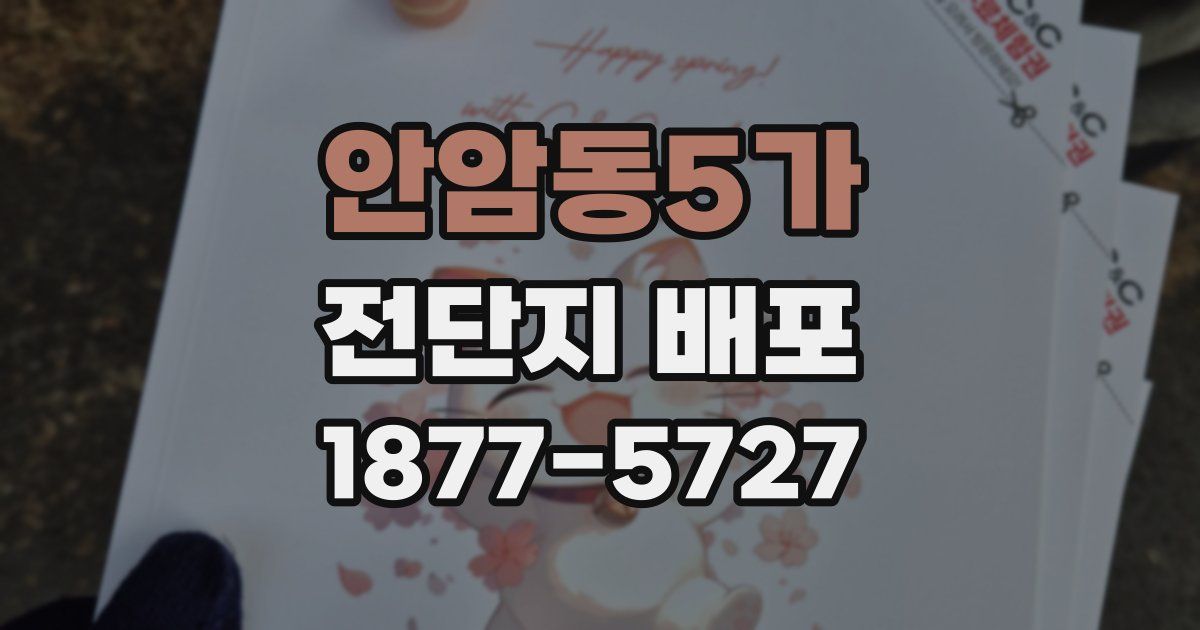 안암동5가 전단지 배포