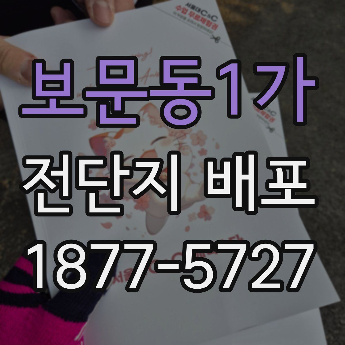 보문동1가 전단지 배포