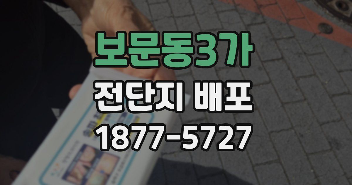 보문동3가 전단지 배포