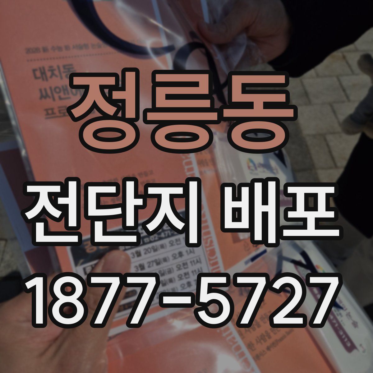 정릉동 전단지 배포