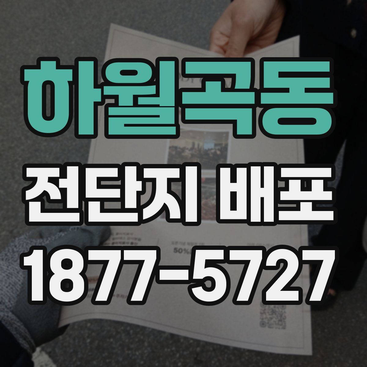 하월곡동 전단지 배포