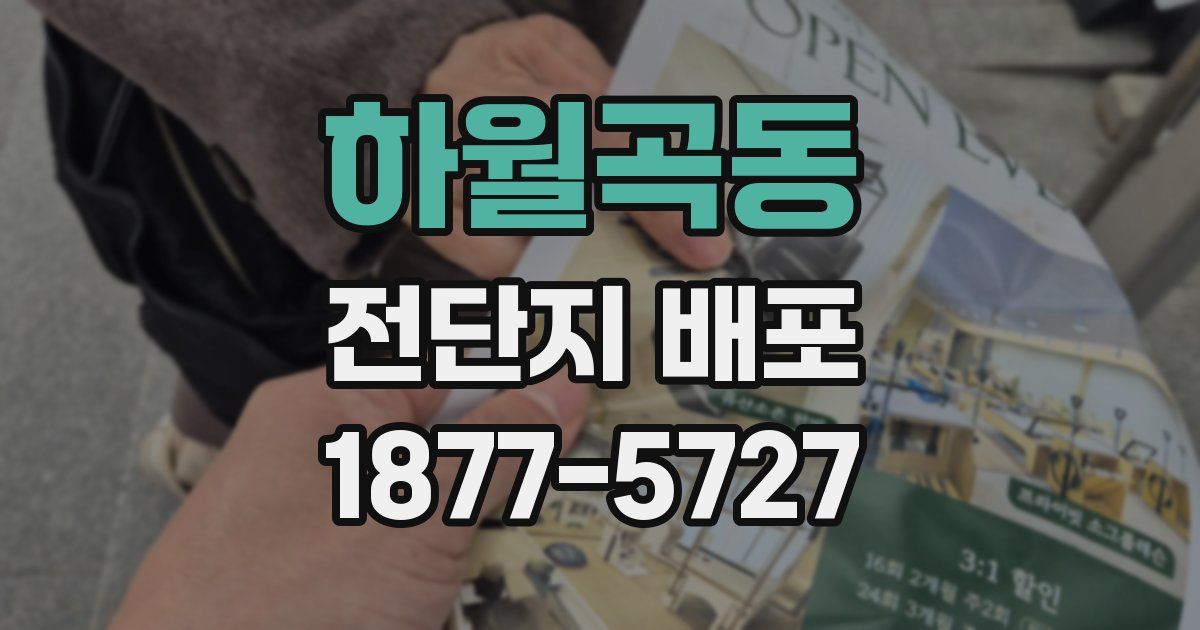 하월곡동 전단지 배포