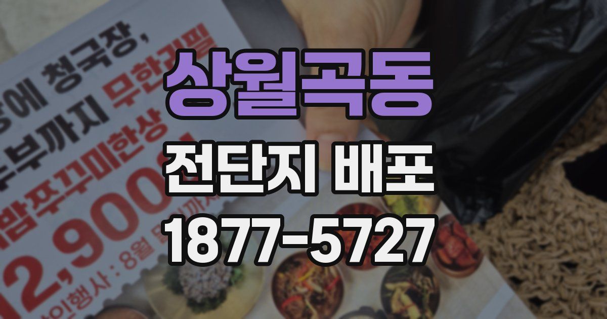 상월곡동 전단지 배포