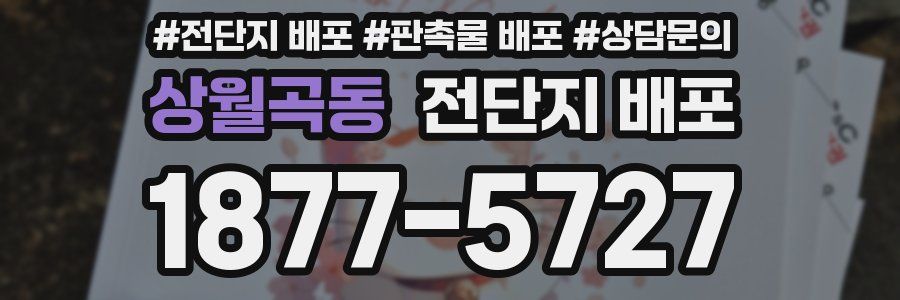 상월곡동 전단지 배포