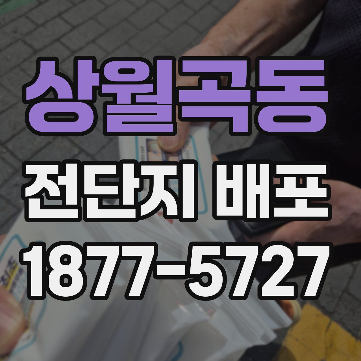 상월곡동 전단지 배포