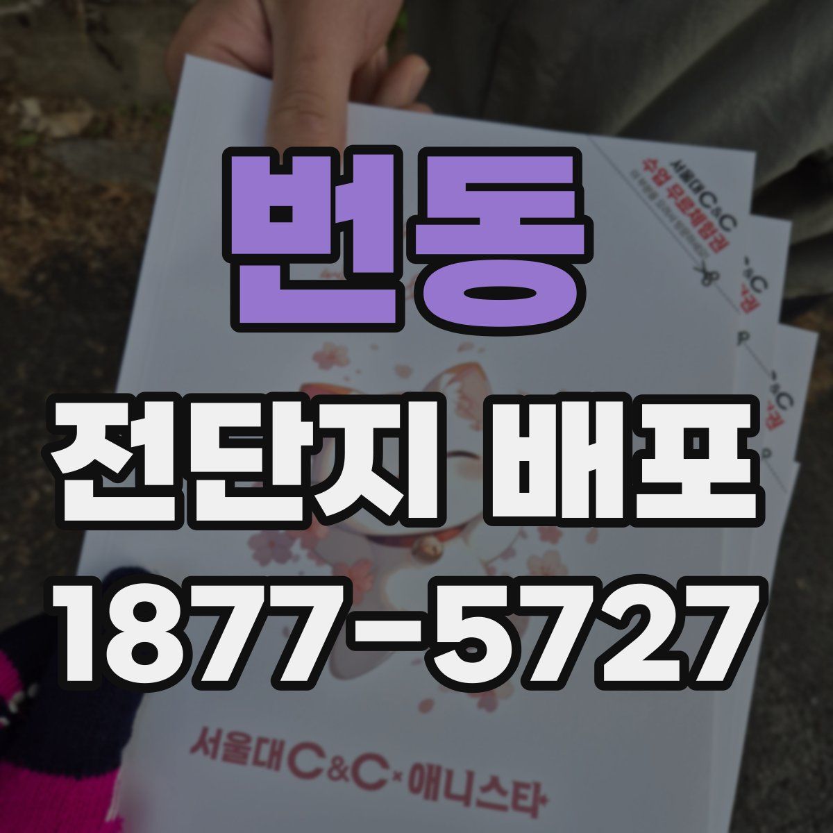 번동 전단지 배포