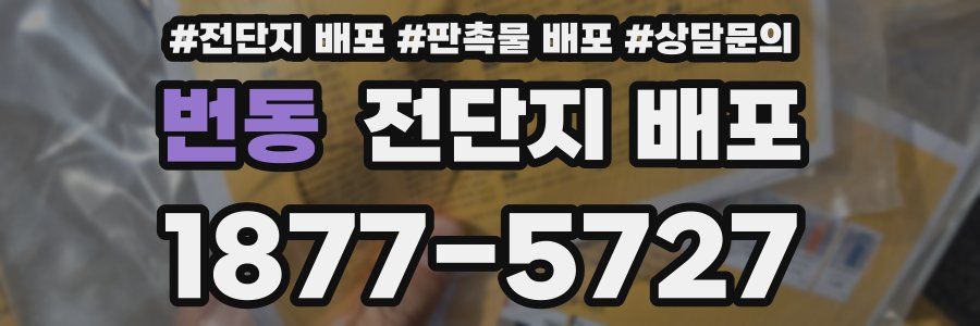 번동 전단지 배포