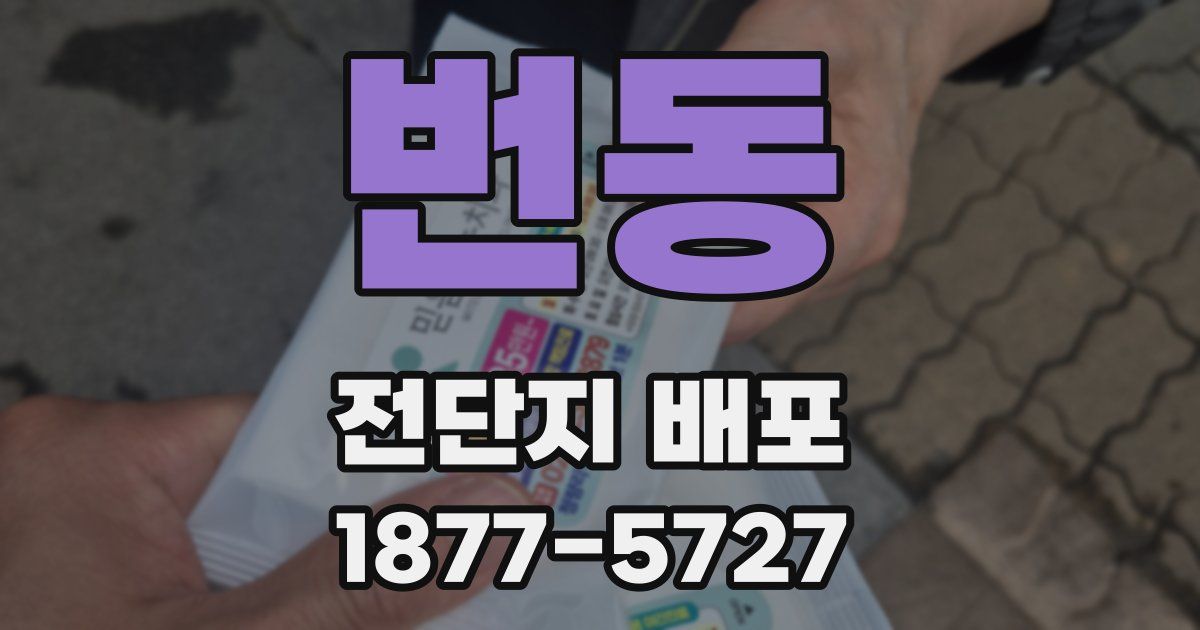 번동 전단지 배포