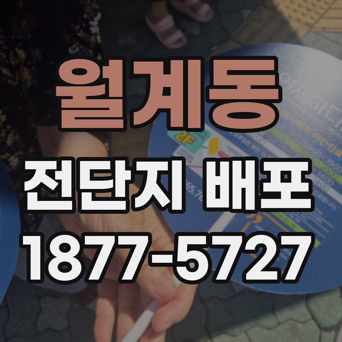 월계동 전단지 배포