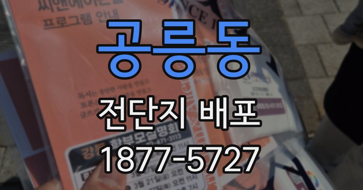 공릉동 전단지 배포