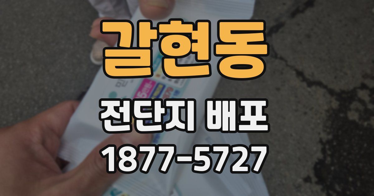 갈현동 전단지 배포