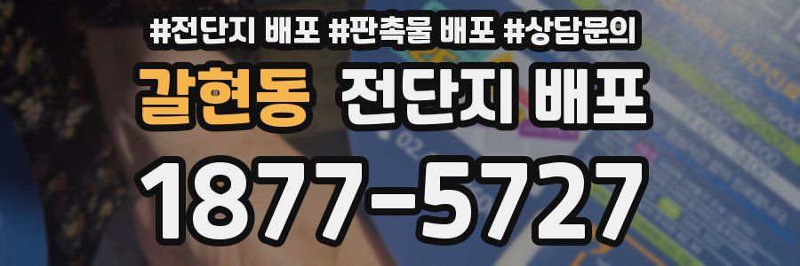 갈현동 전단지 배포