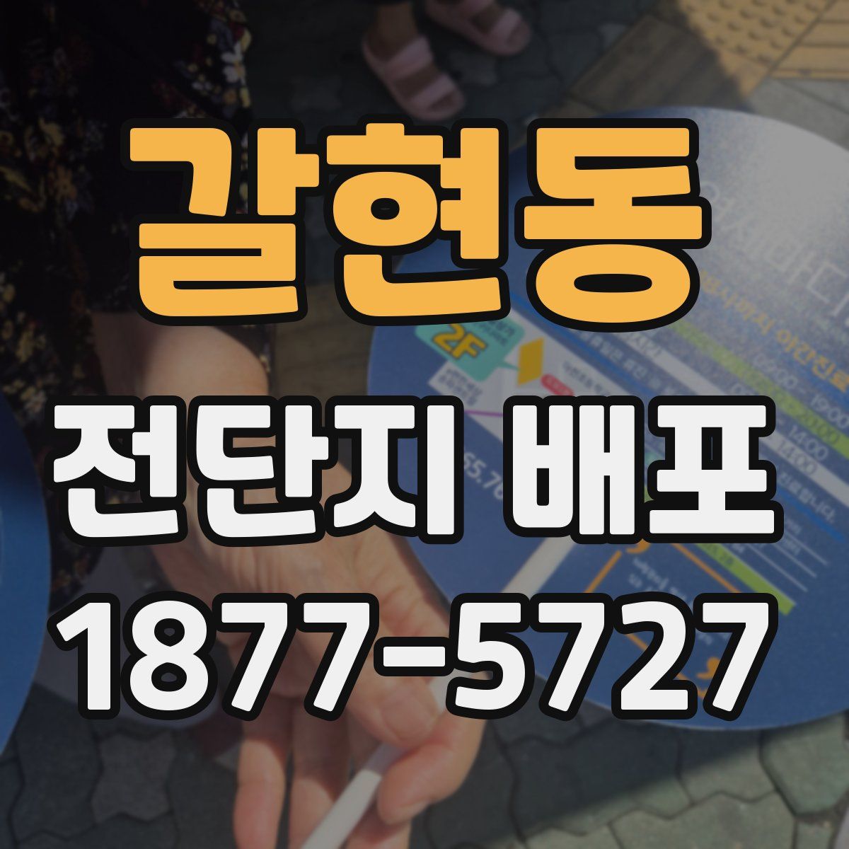 갈현동 전단지 배포
