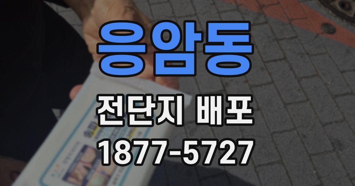 응암동 전단지 배포