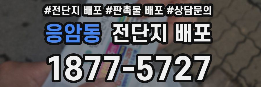 응암동 전단지 배포