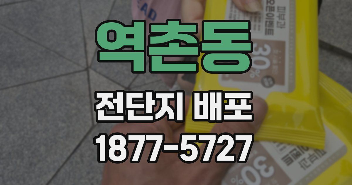 역촌동 전단지 배포