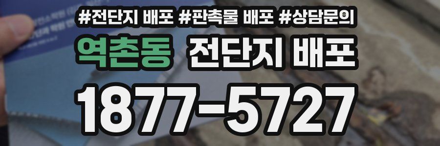 역촌동 전단지 배포