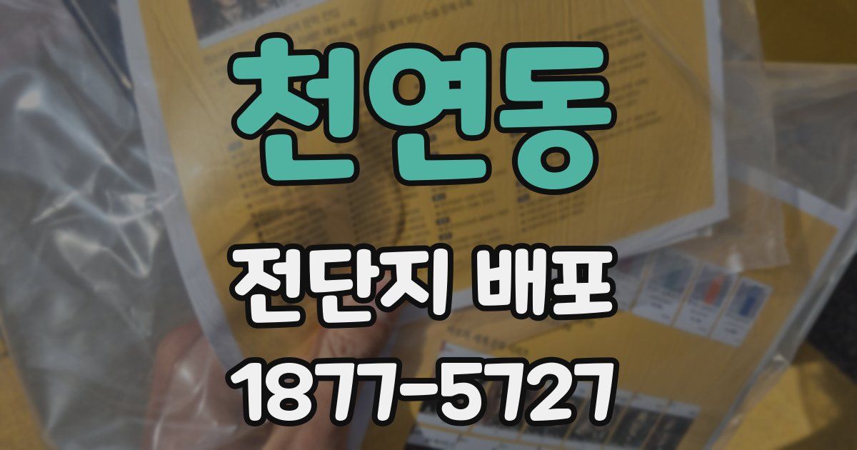 천연동 전단지 배포