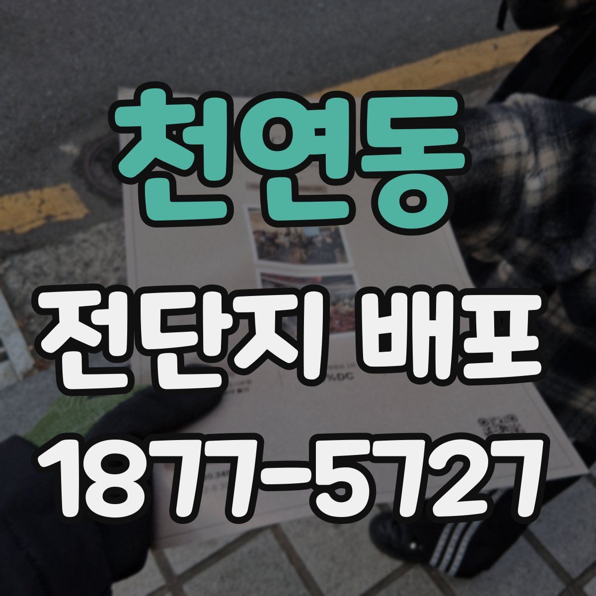 천연동 전단지 배포