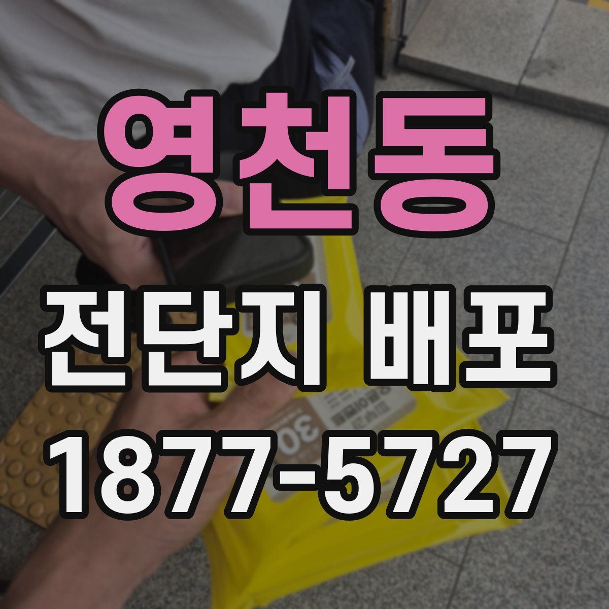 영천동 전단지 배포