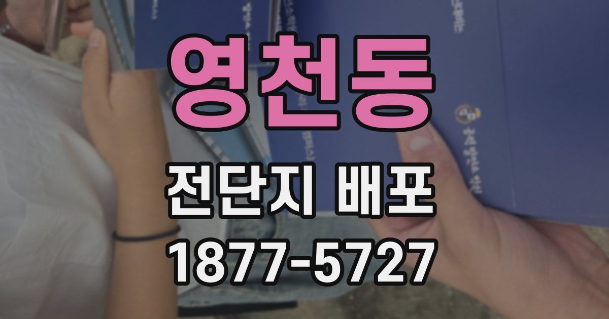 영천동 전단지 배포