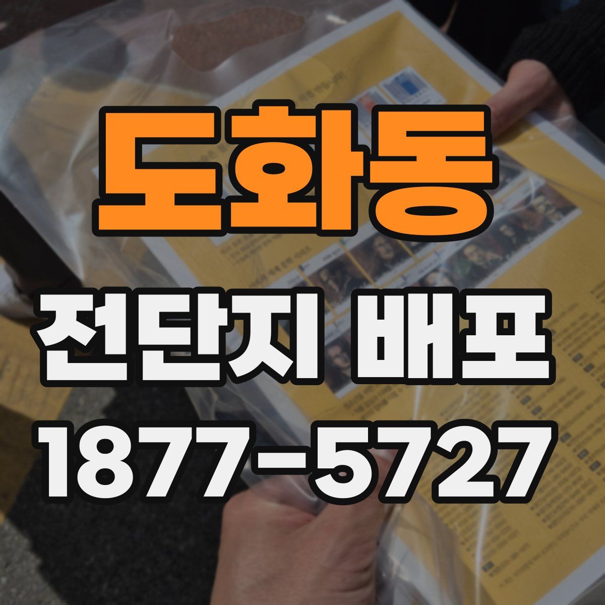 도화동 전단지 배포