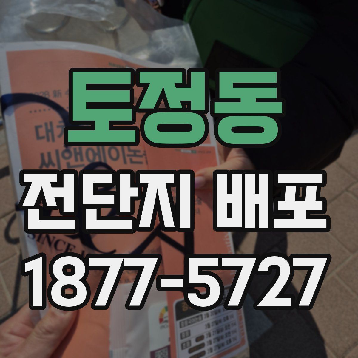 토정동 전단지 배포
