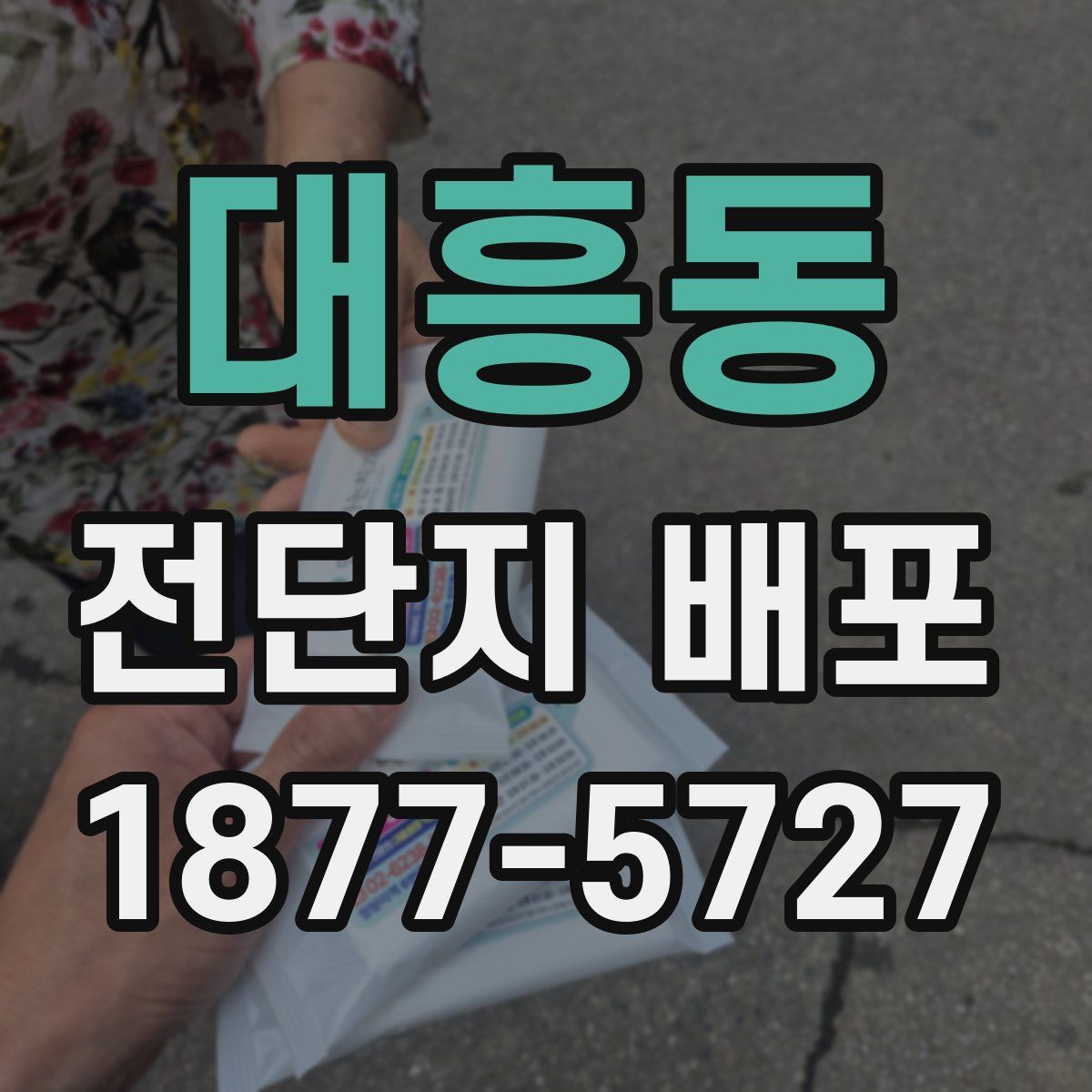 대흥동 전단지 배포