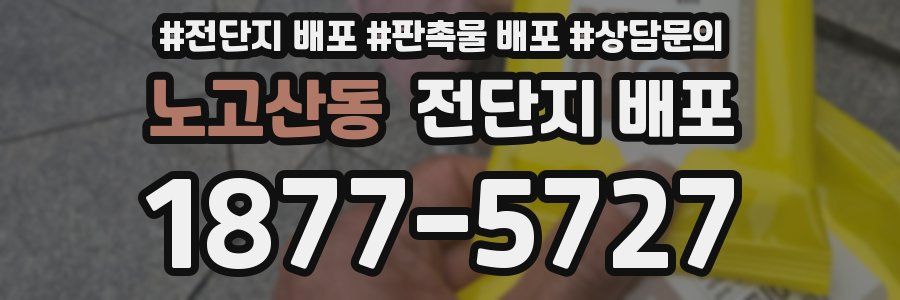 노고산동 전단지 배포