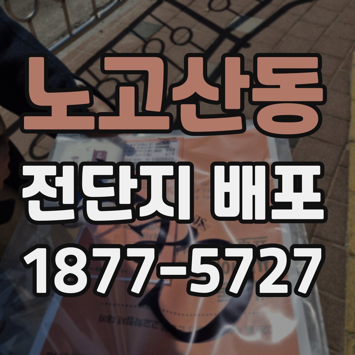 노고산동 전단지 배포