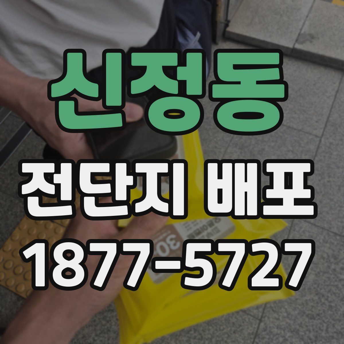 신정동 전단지 배포