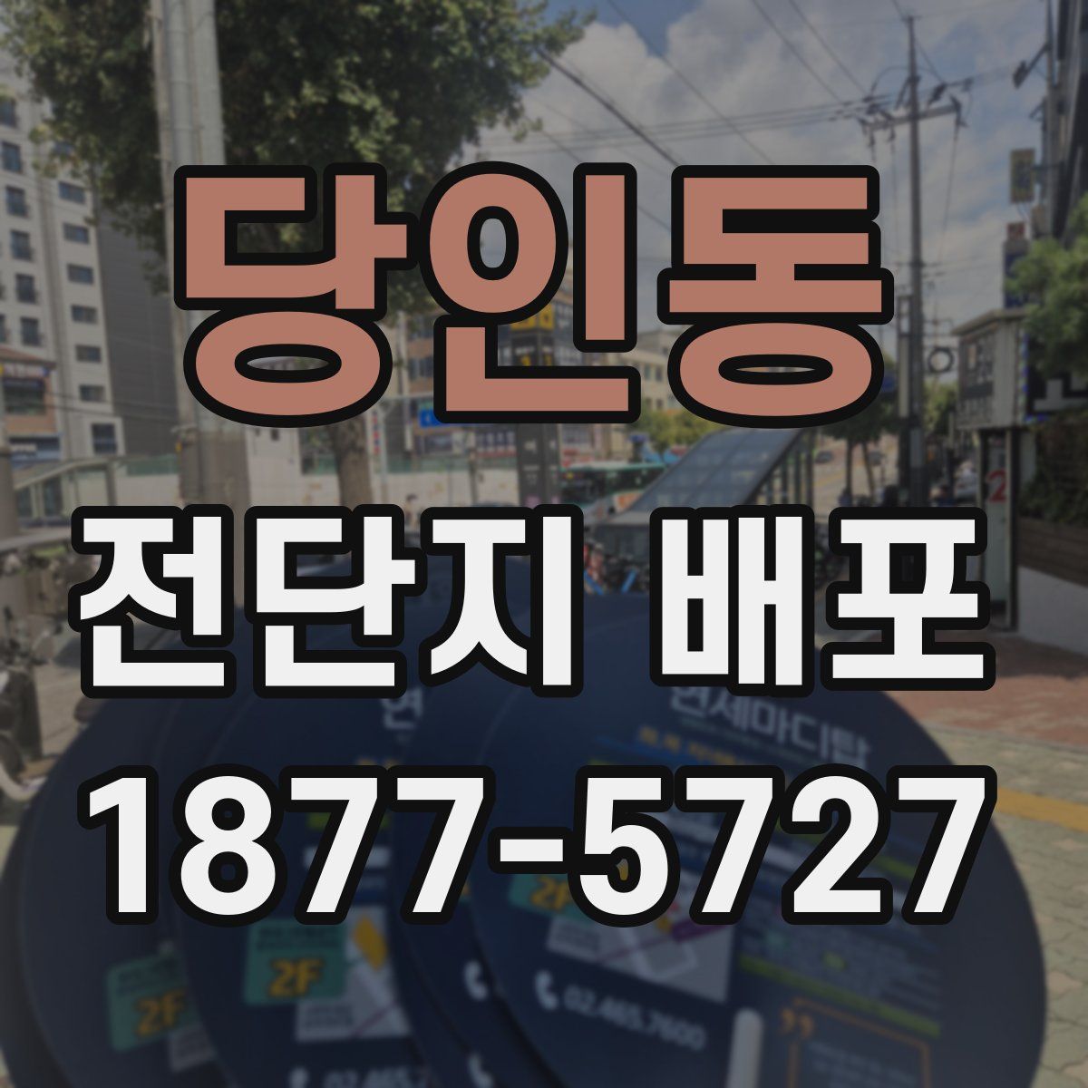 당인동 전단지 배포