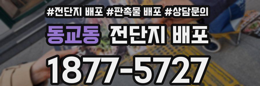 동교동 전단지 배포