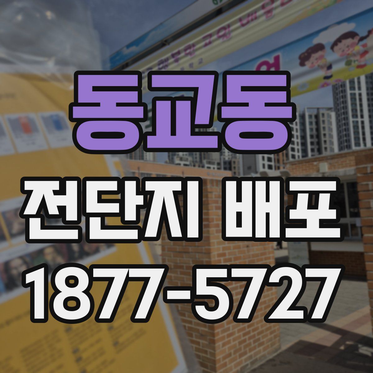 동교동 전단지 배포