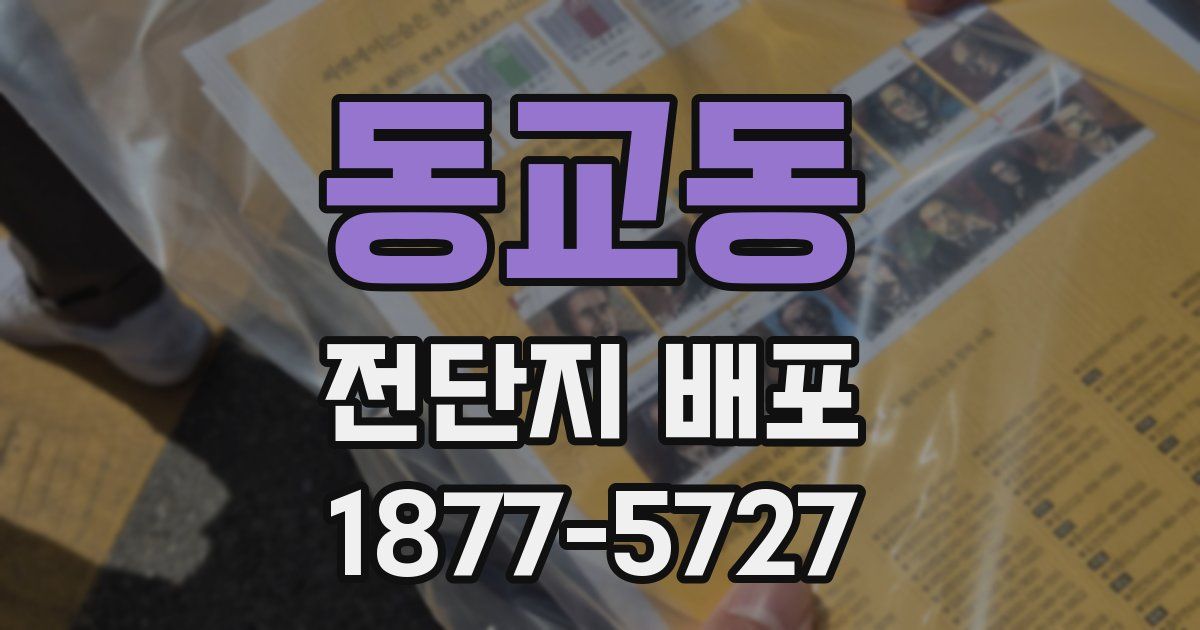 동교동 전단지 배포