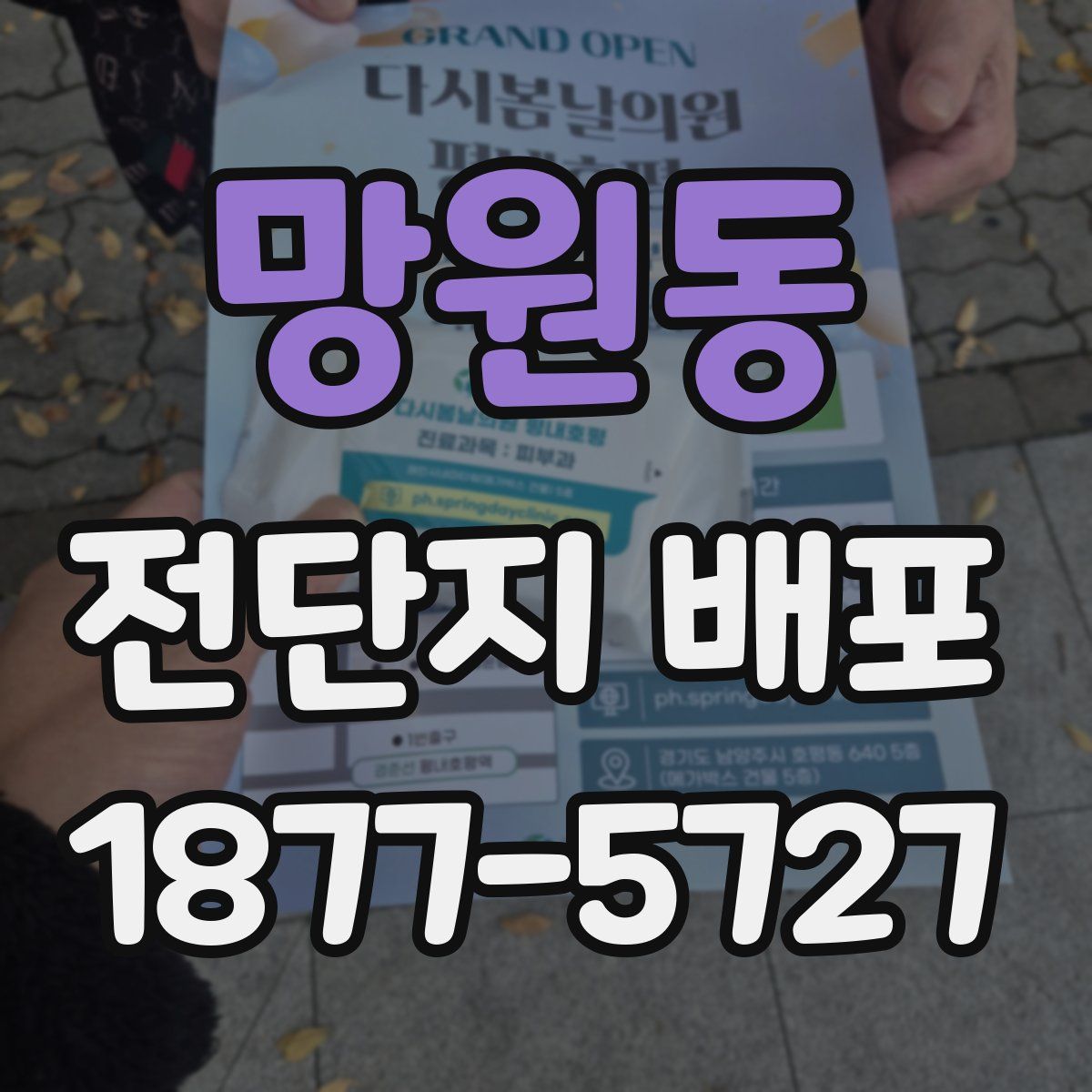 망원동 전단지 배포