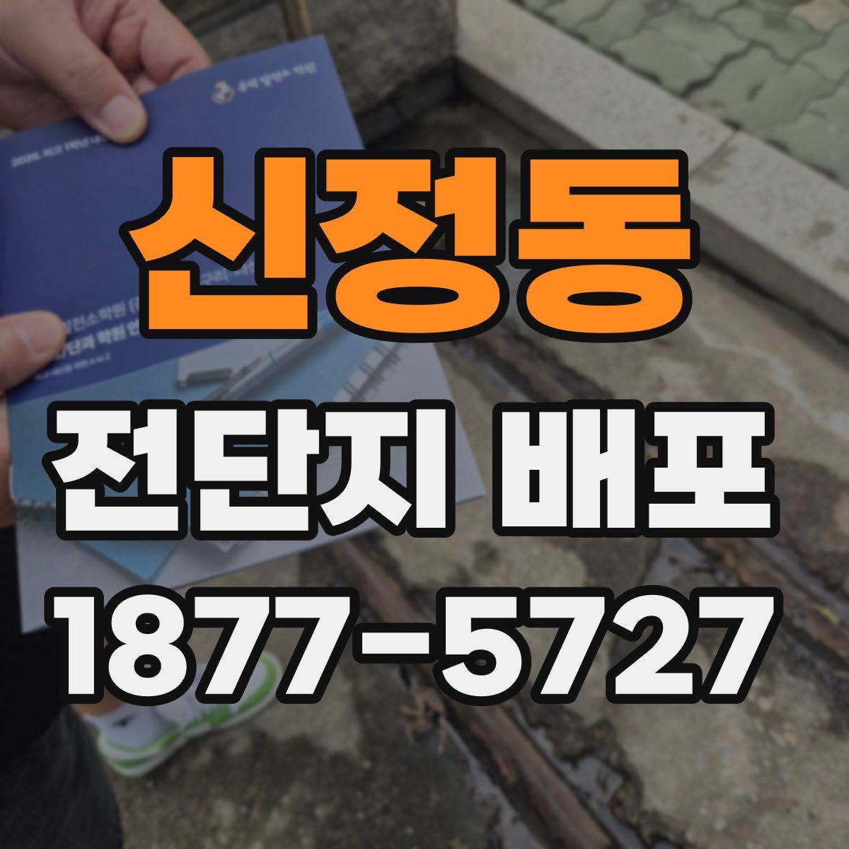 신정동 전단지 배포