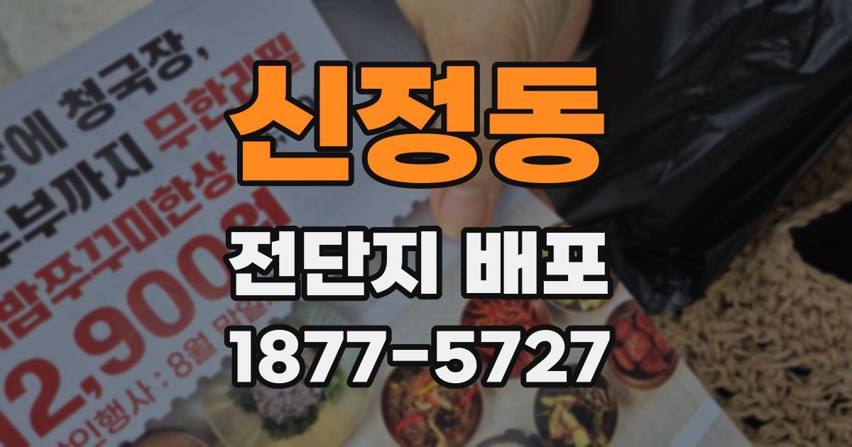 신정동 전단지 배포