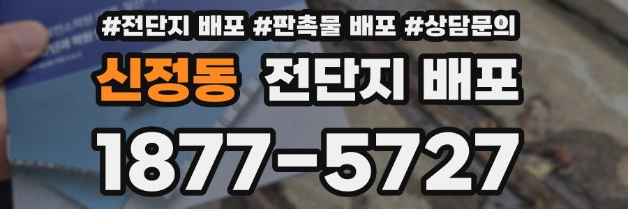 신정동 전단지 배포