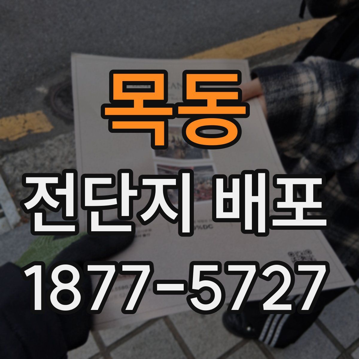 목동 전단지 배포