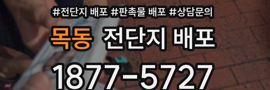 목동 전단지 배포