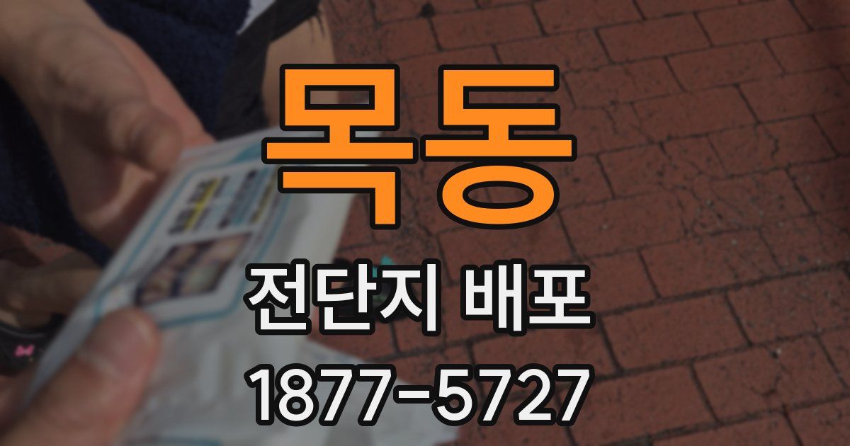 목동 전단지 배포